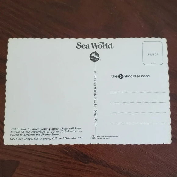 Postcard 1983 Sea World SHAMU Show Orlando Florida - Picture 2 of 4